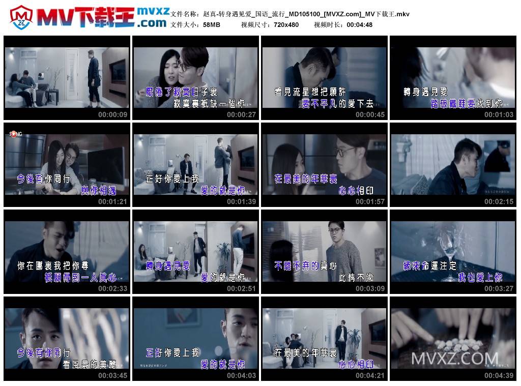 赵真-转身遇见爱_国语_流行_MD105100